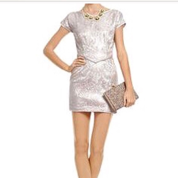 radenroro Dresses & Skirts - Radenroro New York Lace Gauze Dress